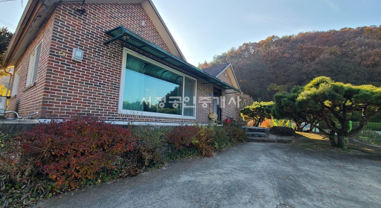 음성군 감곡 IC 10분 고급 소나무 식재 쉴만한 세컨하우스 주택 1억4천 급매